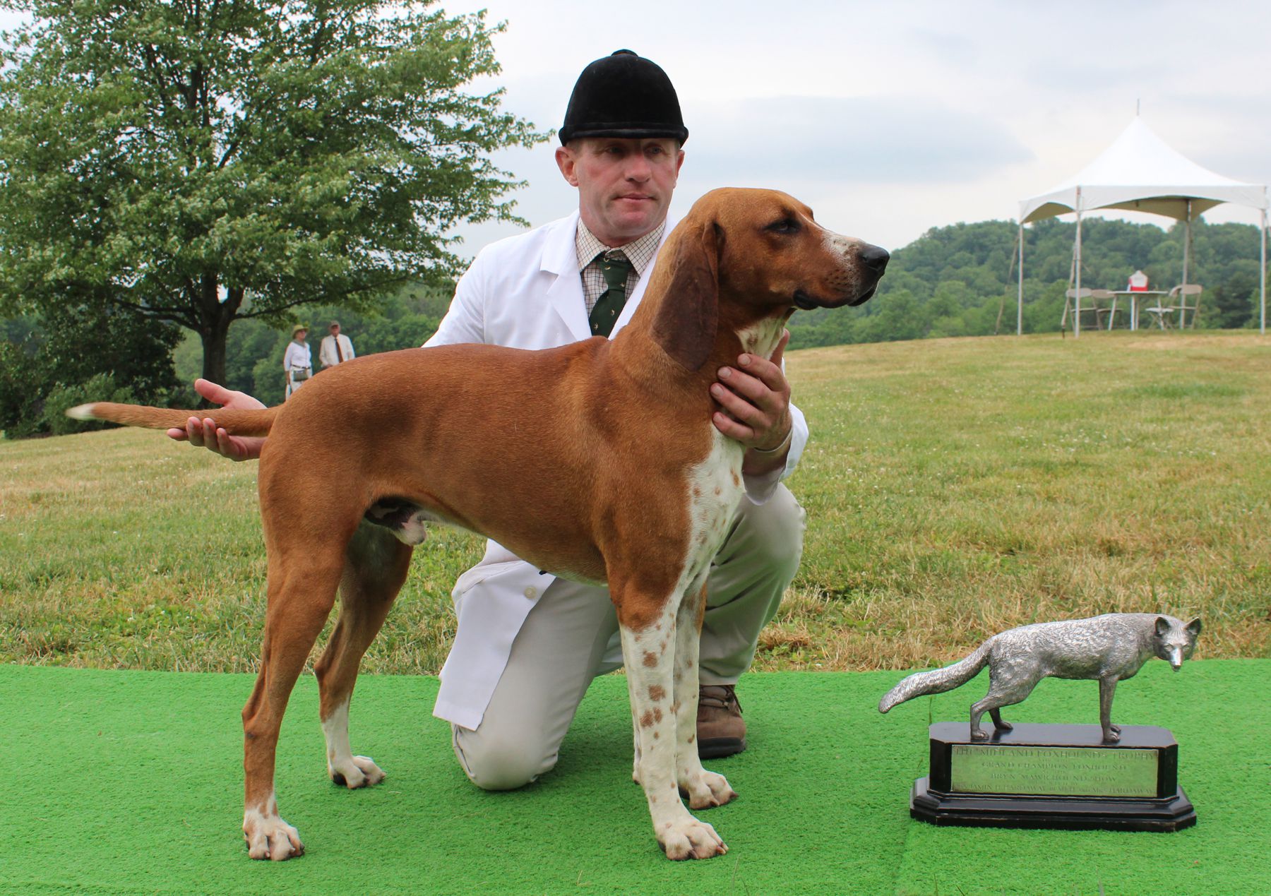 Bryn Mawr Hound Show Home Page